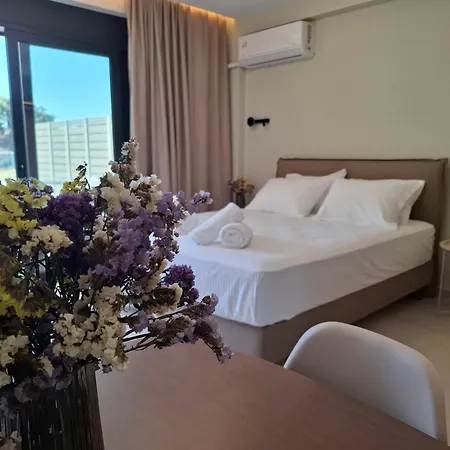 Aelia Luxury & Pool Aparthotel Skafidia