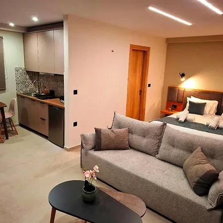 Aelia Luxury & Pool Aparthotel Skafidia