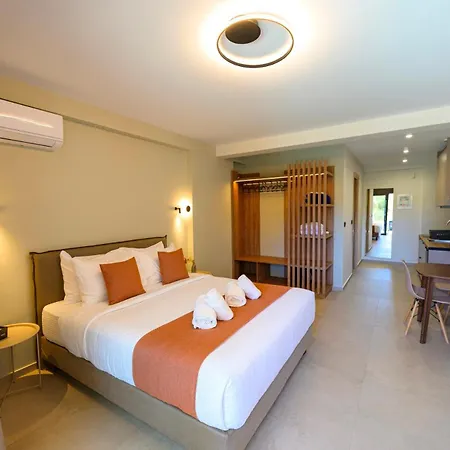 Aparthotel Aelia Luxury & Pool Skafidia